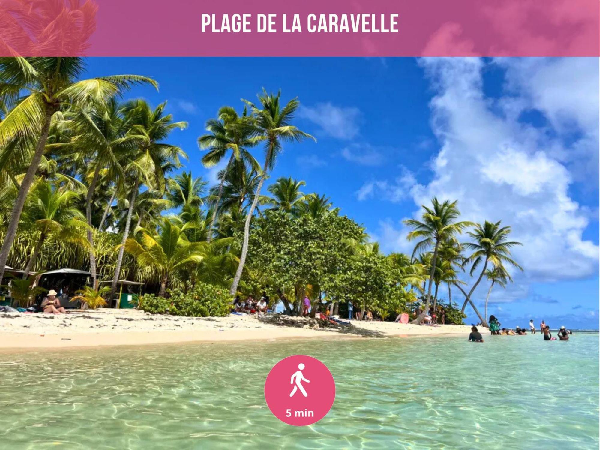 Le Sable Bleu - Evasion Tropicale A Sainte-Anne - Plage 5Min - Piscine - Parking - Logement Climatise - Vue Sur Les Palmiers - Parfait Pour Sejours En Famille Ou Entre Amis Екстериор снимка